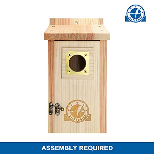 Cedar Bird House with Copper Guard for Outdoor Decor