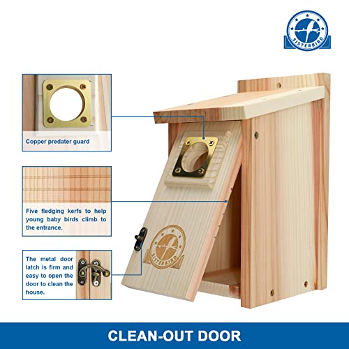 Cedar Bird House with Copper Guard for Outdoor Decor