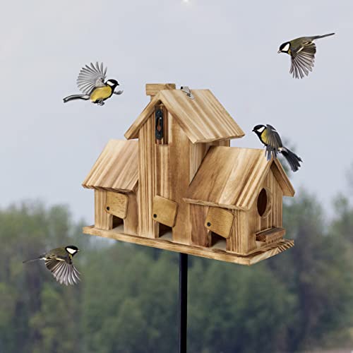 Bluebird Finch Cardinals Hanging Birdhouse for Beautiful Gardens