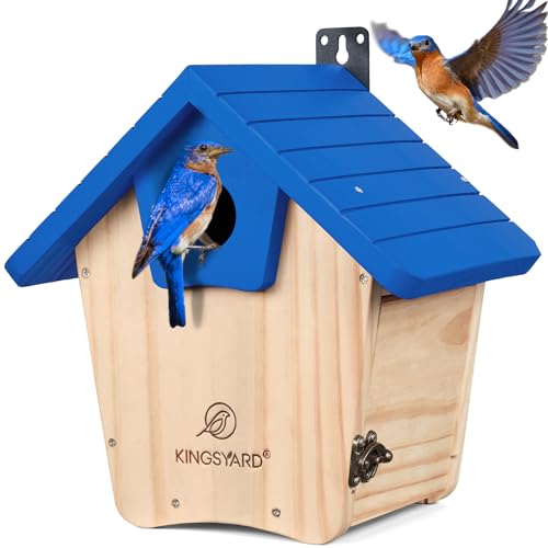 Kingsyard Wooden Bluebird House with Predator Guard, Royal Blue