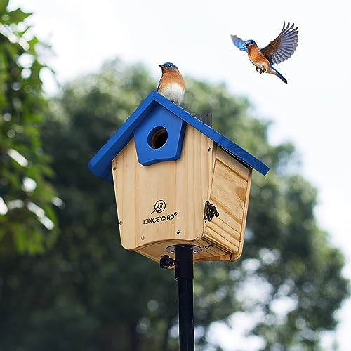 Kingsyard Wooden Bluebird House with Predator Guard, Royal Blue