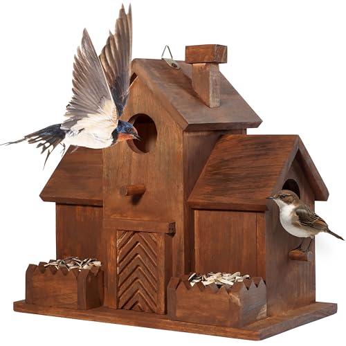 Bluebird Finch Cardinals 3 Hole Outdoor Bird House