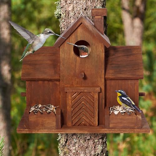 Bluebird Finch Cardinals 3 Hole Outdoor Bird House