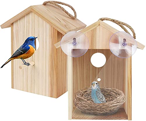 ColorfulLaVie Window Bird House with Strong Suction Cup