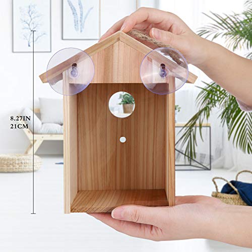 ColorfulLaVie Window Bird House with Strong Suction Cup