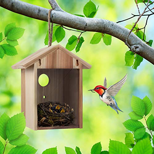 ColorfulLaVie Window Bird House with Strong Suction Cup