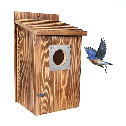 Outdoor Bird Houses with Predator Guard, Carbonized Wood