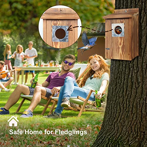 Outdoor Bird Houses with Predator Guard, Carbonized Wood