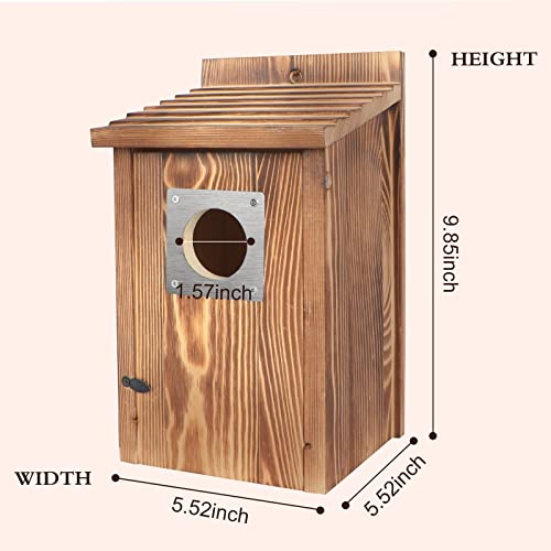 Outdoor Bird Houses with Predator Guard, Carbonized Wood