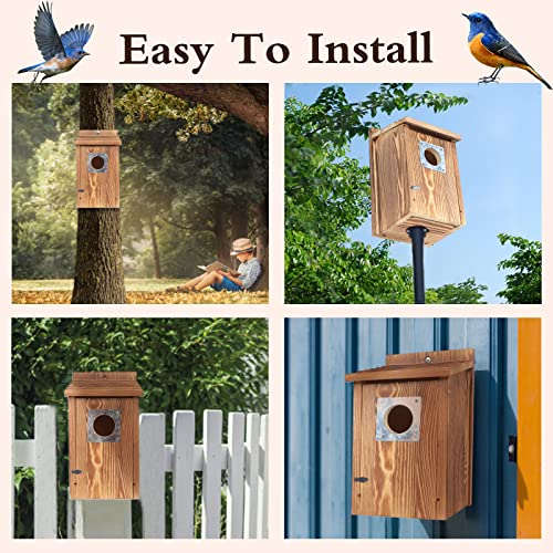 Outdoor Bird Houses with Predator Guard, Carbonized Wood