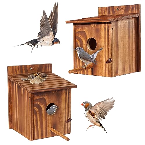 Set of 2 Cozy Bird Houses for Indoor & Outdoor
