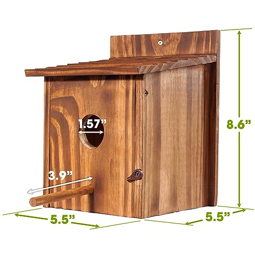 Set of 2 Cozy Bird Houses for Indoor & Outdoor