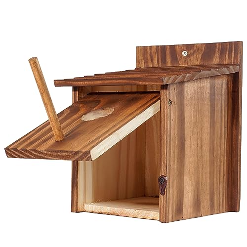 Set of 2 Cozy Bird Houses for Indoor & Outdoor