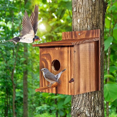 Set of 2 Cozy Bird Houses for Indoor & Outdoor