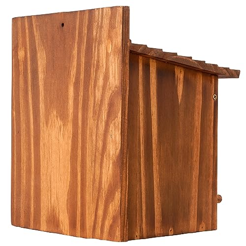 Set of 2 Cozy Bird Houses for Indoor & Outdoor