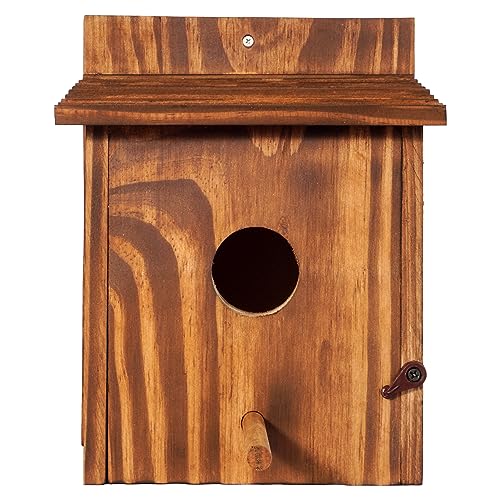 Set of 2 Cozy Bird Houses for Indoor & Outdoor