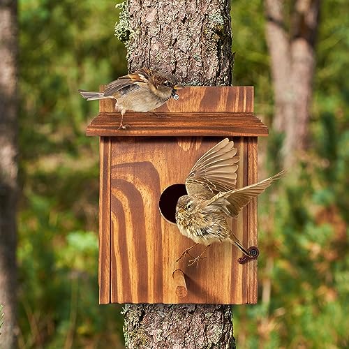 Set of 2 Cozy Bird Houses for Indoor & Outdoor