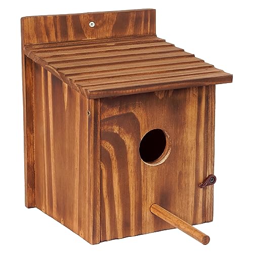 Set of 2 Cozy Bird Houses for Indoor & Outdoor