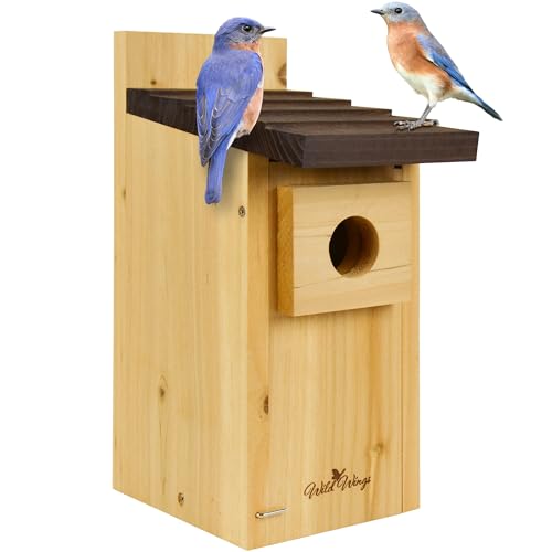 Cedar Blue Bird Box House by Wild Wings