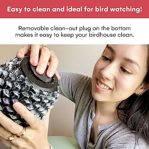 Hand-Painted Flowerpot Hanging Bird Houses for Outdoor Decor