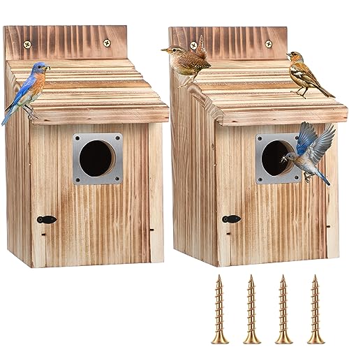 Dreyoo Cedar Bluebird Box Houses 2 Pack Set