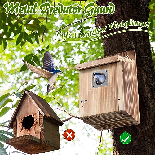 Dreyoo Cedar Bluebird Box Houses 2 Pack Set