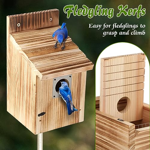 Dreyoo Cedar Bluebird Box Houses 2 Pack Set