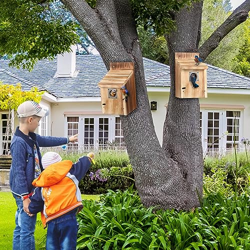 Dreyoo Cedar Bluebird Box Houses 2 Pack Set