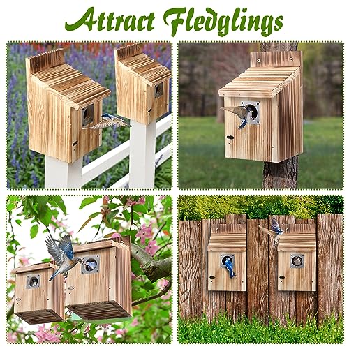 Dreyoo Cedar Bluebird Box Houses 2 Pack Set
