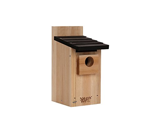 Cedar Bluebird Box for Nature-Themed Indoor & Outdoor Decor