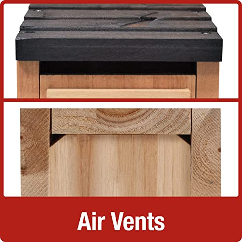 Cedar Bluebird Box for Nature-Themed Indoor & Outdoor Decor