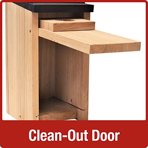 Cedar Bluebird Box for Nature-Themed Indoor & Outdoor Decor