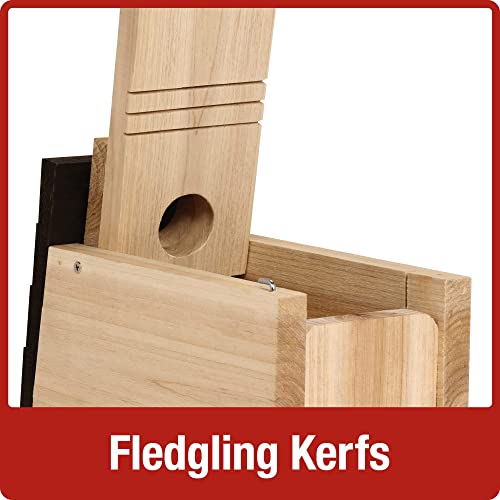 Cedar Bluebird Box for Nature-Themed Indoor & Outdoor Decor