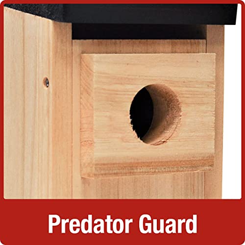 Cedar Bluebird Box for Nature-Themed Indoor & Outdoor Decor