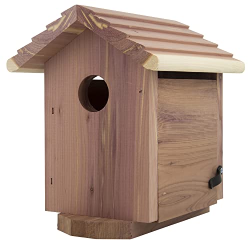 Pennington Cedar Birdhouse for Outdoor Use, Space for Family