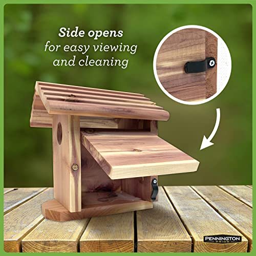 Pennington Cedar Birdhouse for Outdoor Use, Space for Family