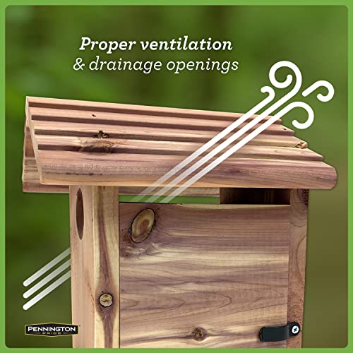 Pennington Cedar Birdhouse for Outdoor Use, Space for Family