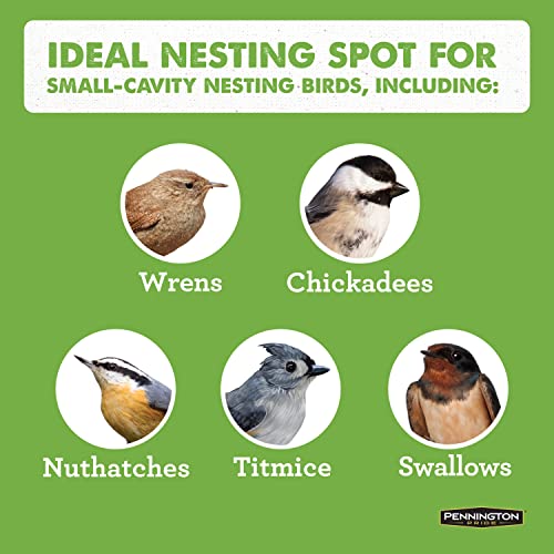 Pennington Cedar Birdhouse for Outdoor Use, Space for Family