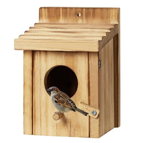 Small Hummingbird Birdhouse for Indoor & Outdoor Decor