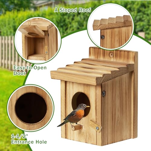 Small Hummingbird Birdhouse for Indoor & Outdoor Decor