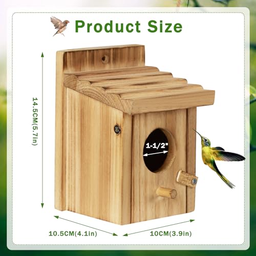 Small Hummingbird Birdhouse for Indoor & Outdoor Decor