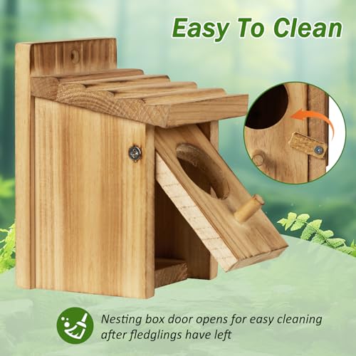 Small Hummingbird Birdhouse for Indoor & Outdoor Decor