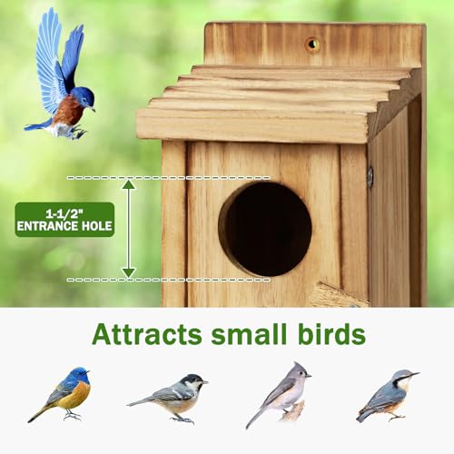 Small Hummingbird Birdhouse for Indoor & Outdoor Decor