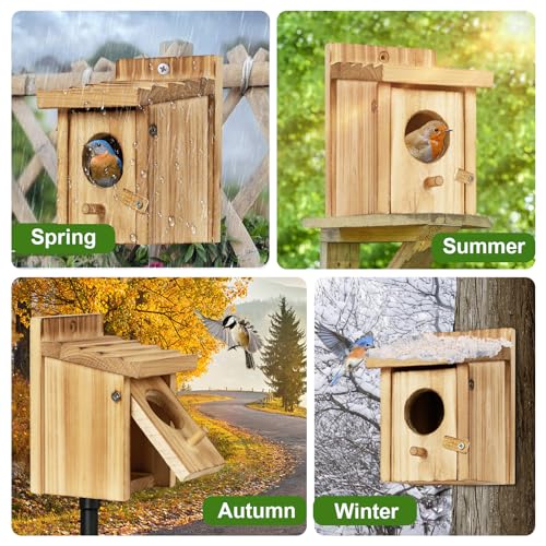 Small Hummingbird Birdhouse for Indoor & Outdoor Decor