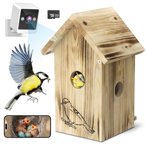 Smart Bird House Camera with HD Video Recording