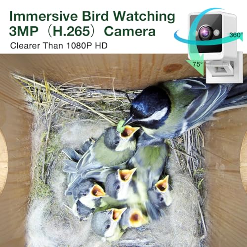 Smart Bird House Camera with HD Video Recording