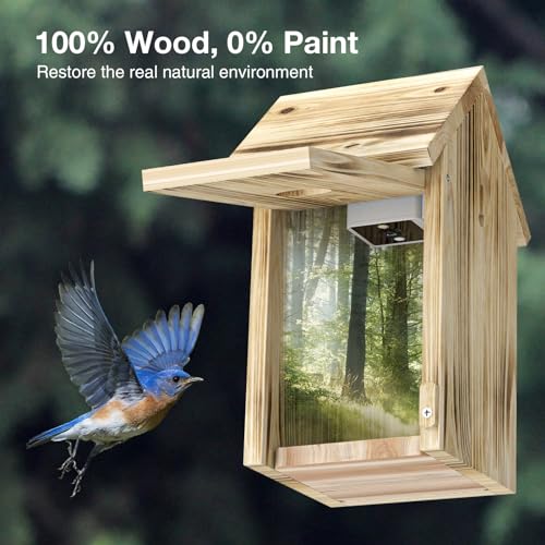 Smart Bird House Camera with HD Video Recording