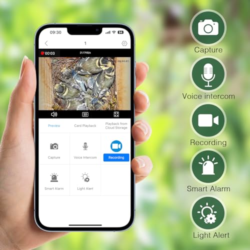 Smart Bird House Camera with HD Video Recording