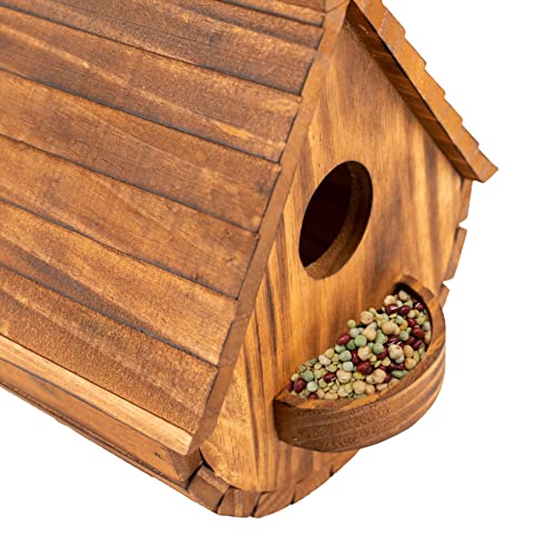 2 COLEBA Bird Houses for Outdoor Garden Decor
