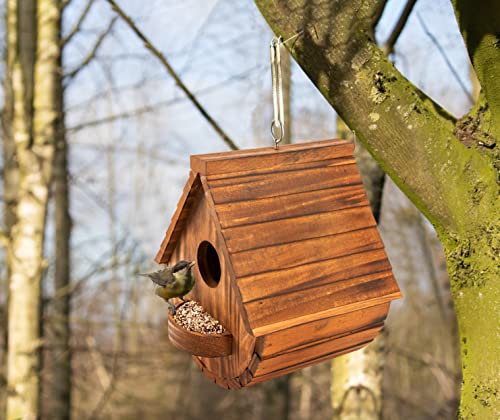 2 COLEBA Bird Houses for Outdoor Garden Decor